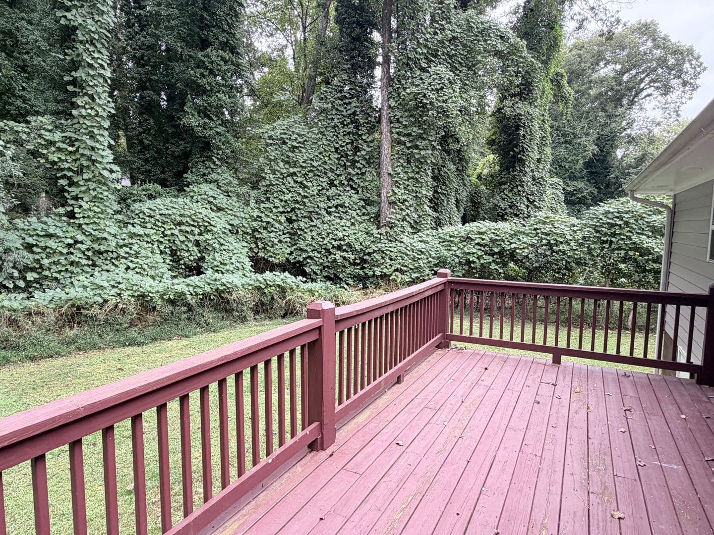 Athens House: 175 Lillian Dr.