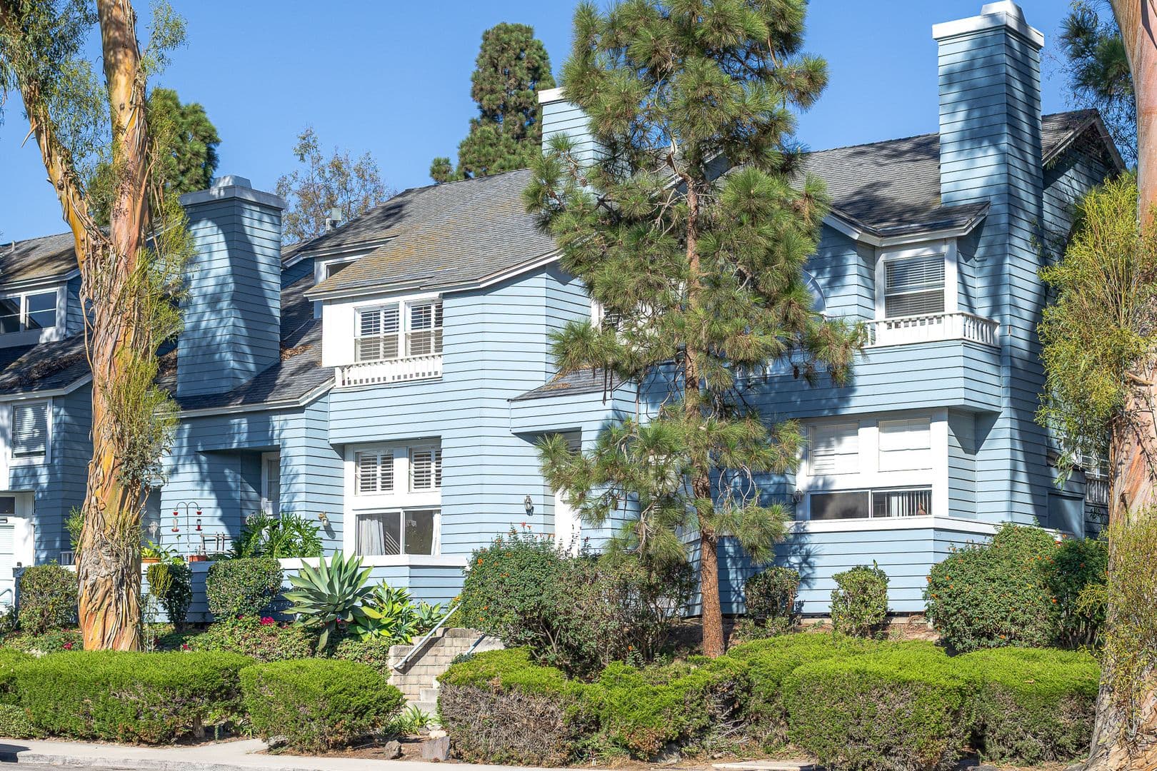 Ventura House: 935 Goodman St