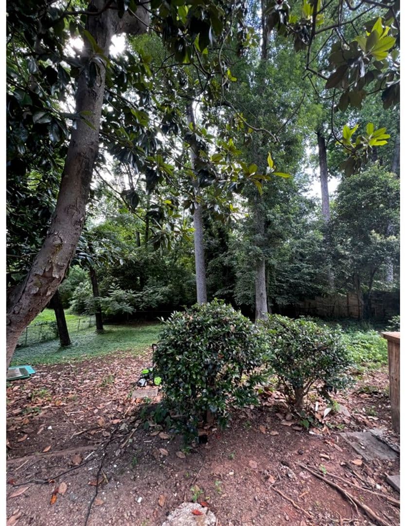 Charlotte House: 3520 Sargeant Dr