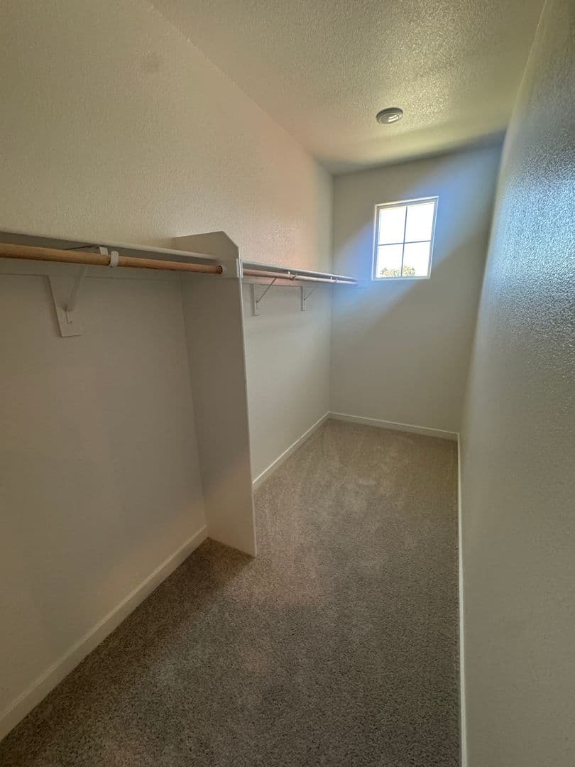 Davis House: 1107 Baylor Terrace