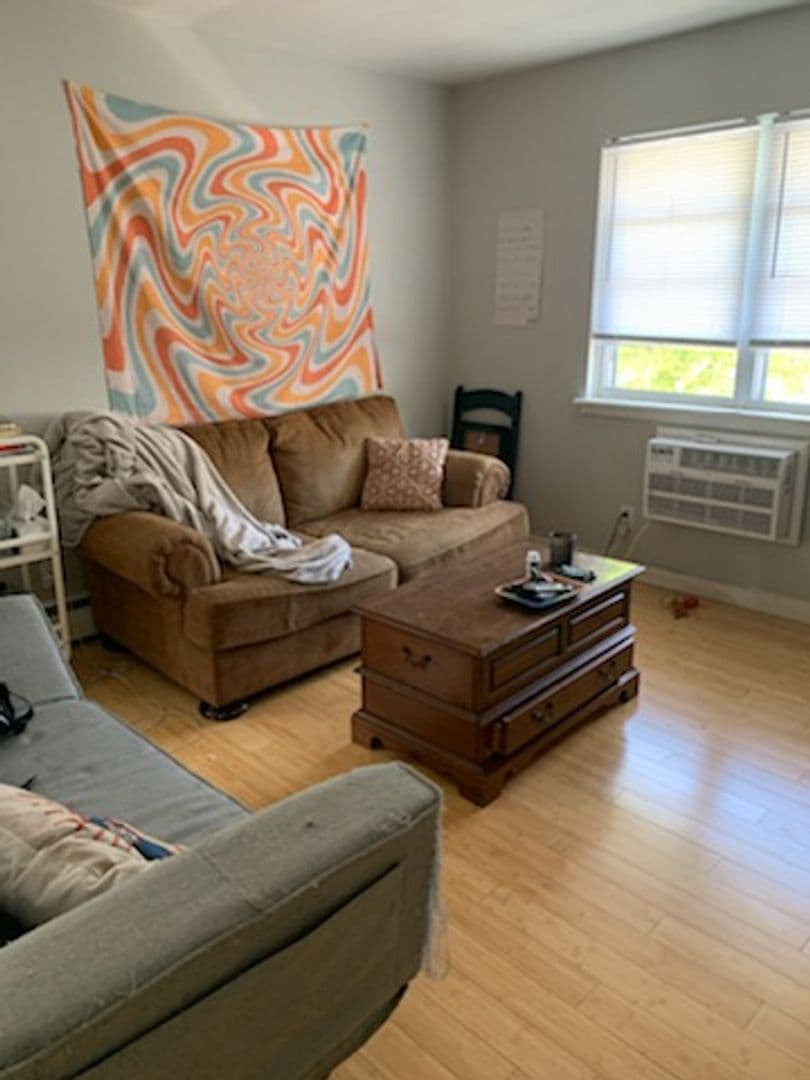 Milwaukee Apartment: 1004 E Pleasant St