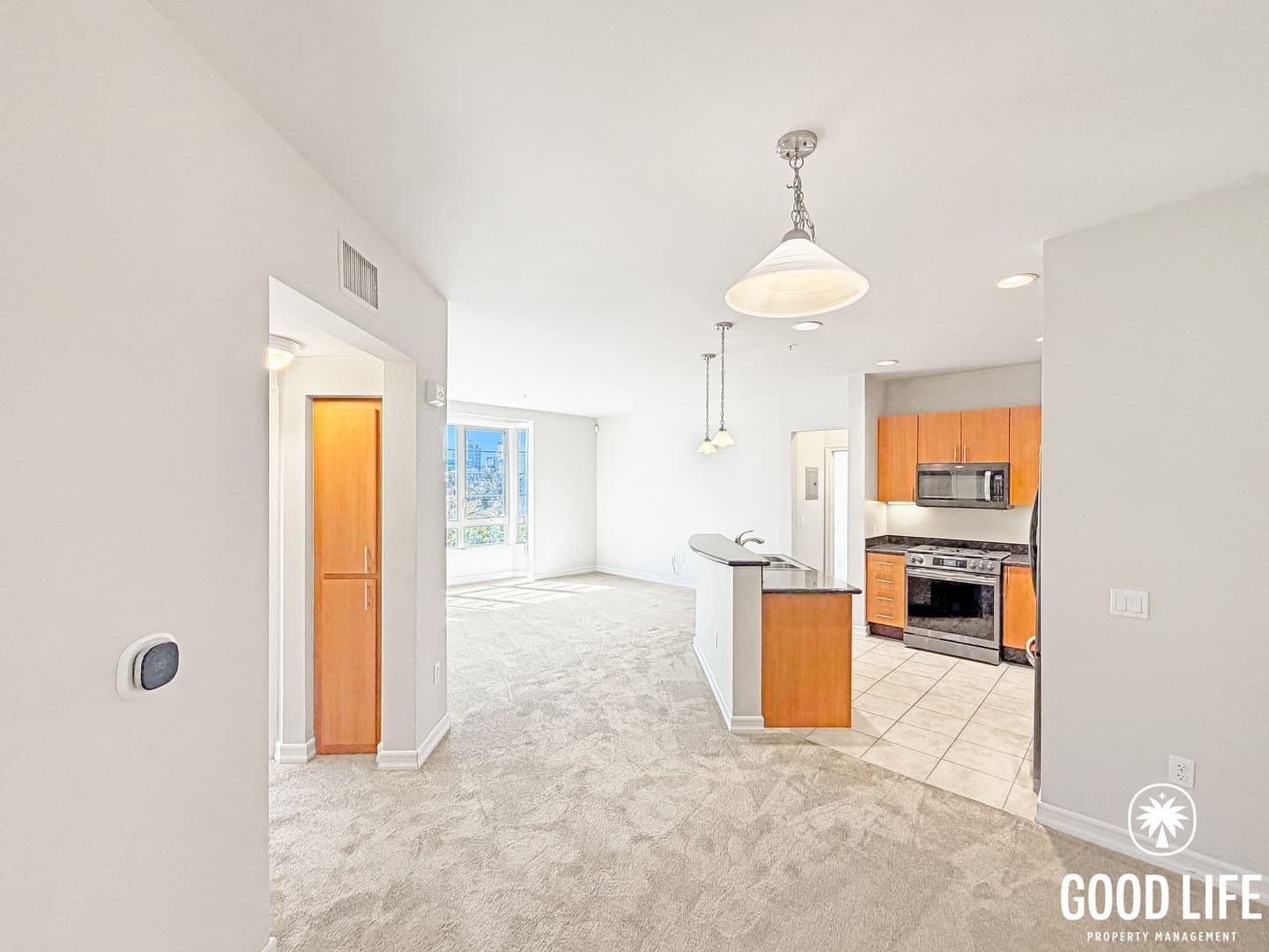 San Diego Condo: 1480 Broadway Unit 2325