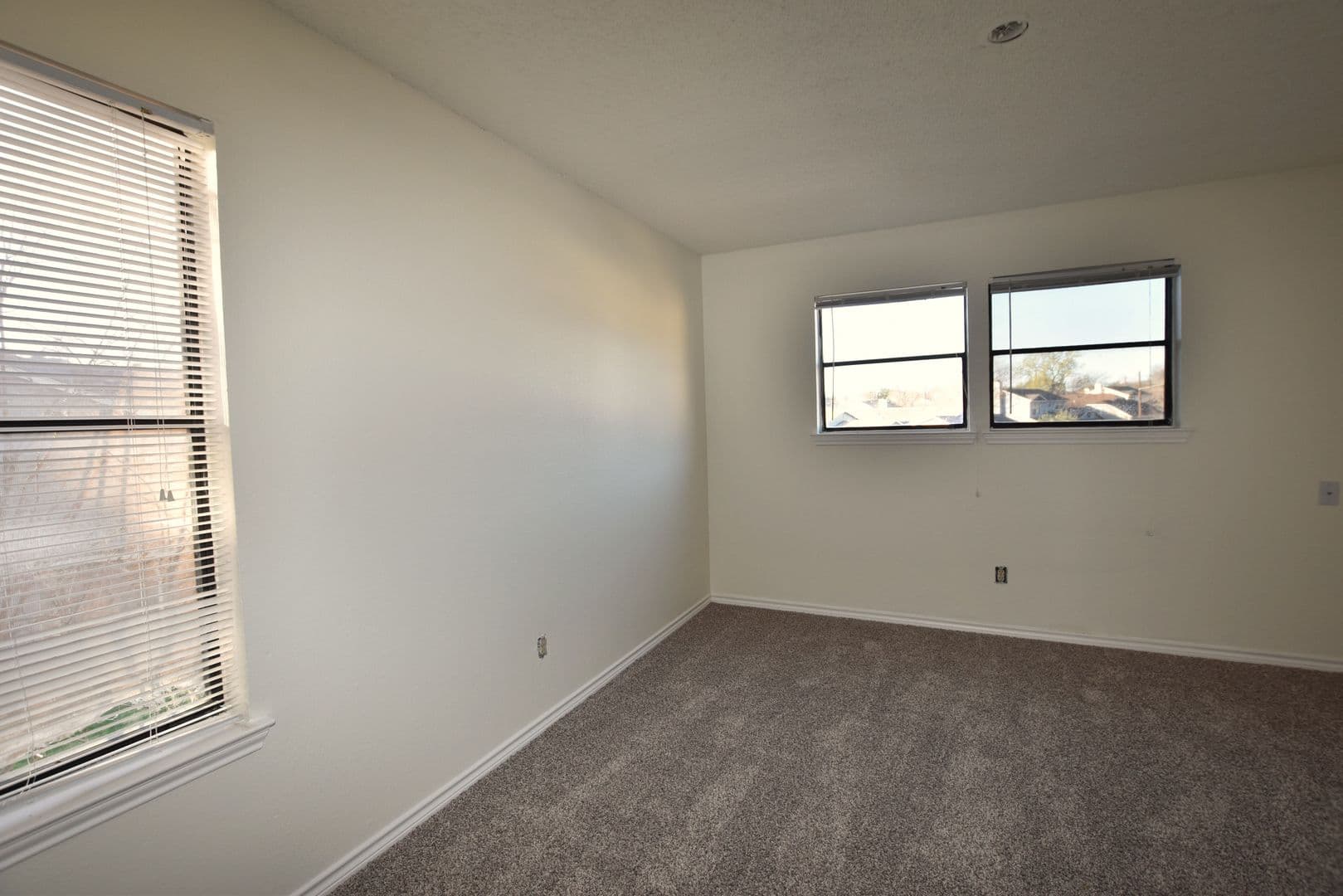 Austin Apartment: Tanglewood Forest
