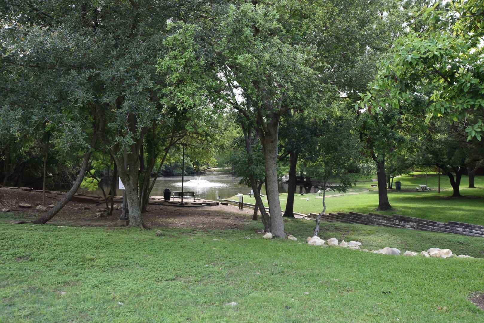 Austin Apartment: Tanglewood Forest