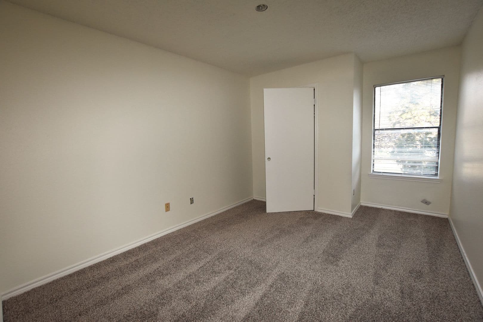 Austin Apartment: Tanglewood Forest