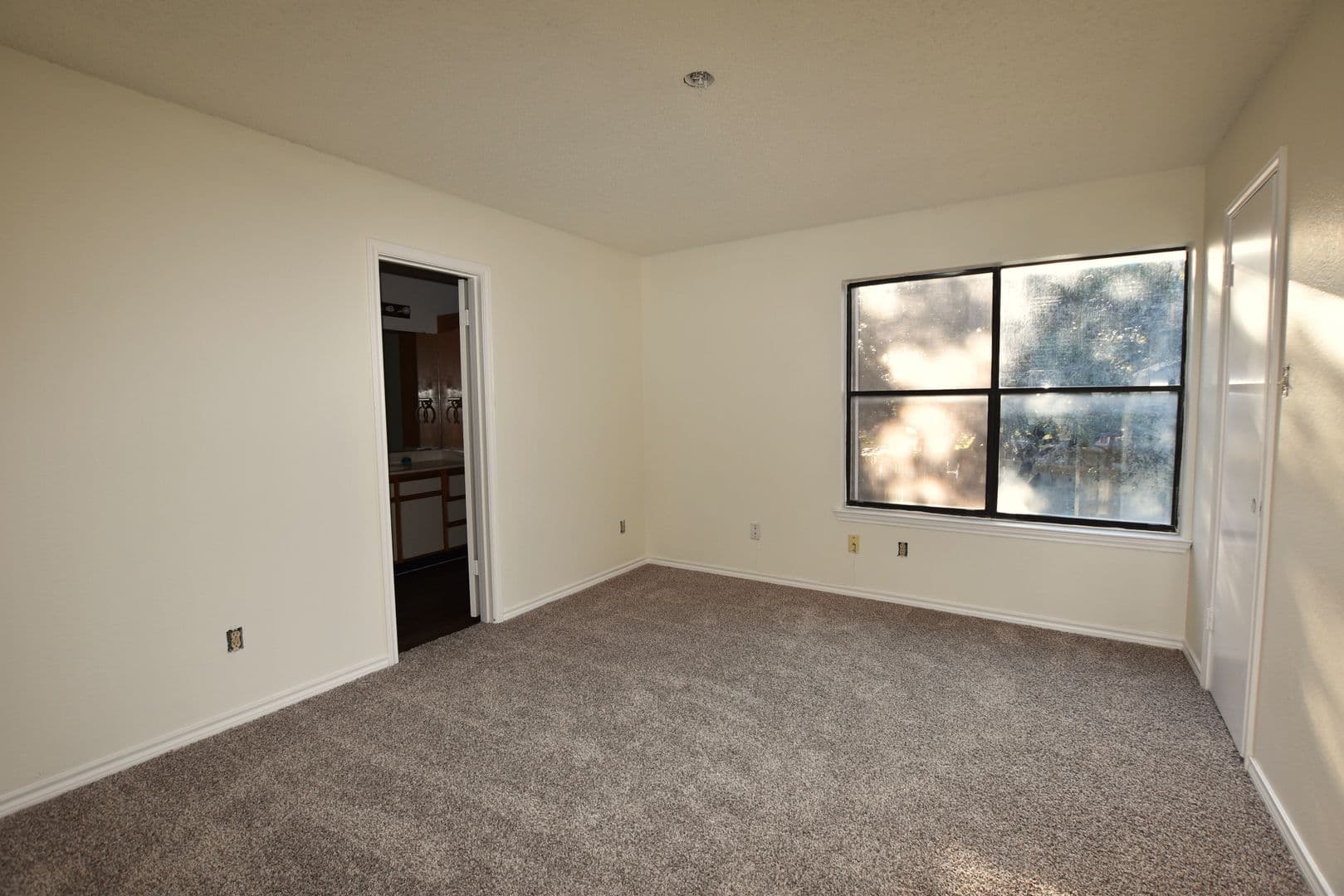 Austin Apartment: Tanglewood Forest