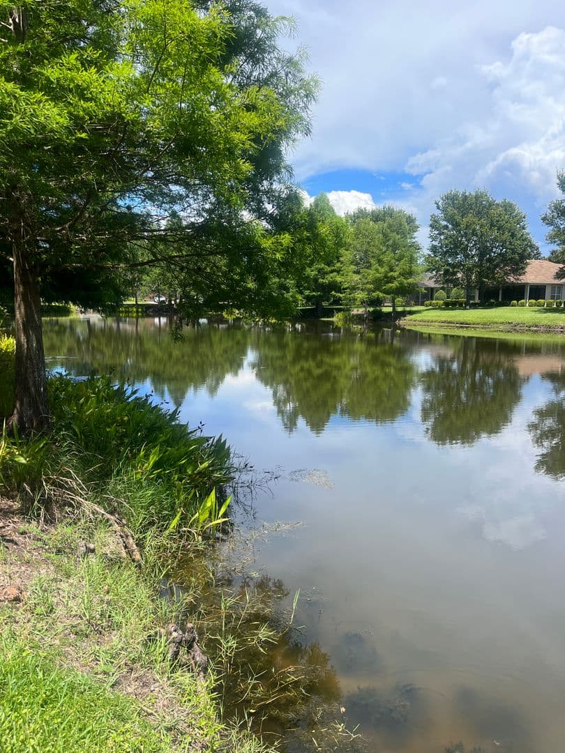 Deland House: 1385 Abbot Way