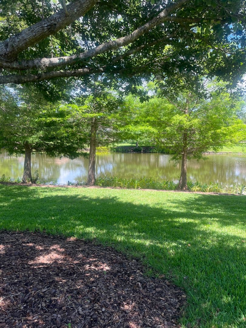 Deland House: 1385 Abbot Way
