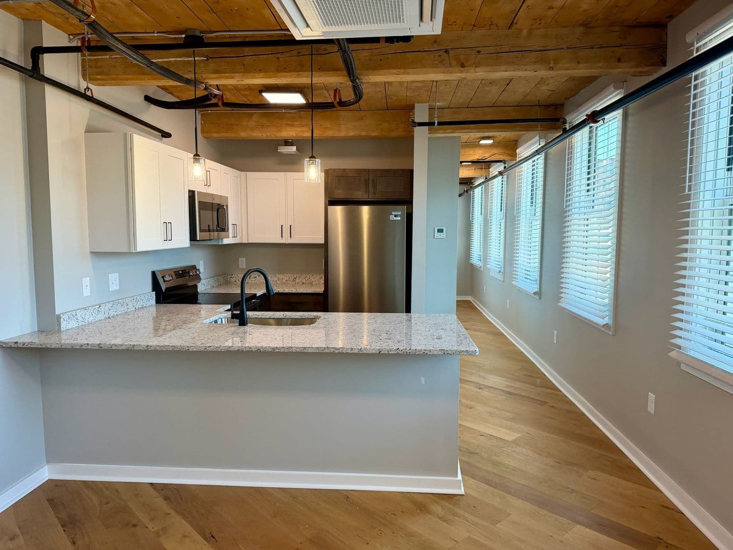 Worcester Apartment: 17 Hermon Street
