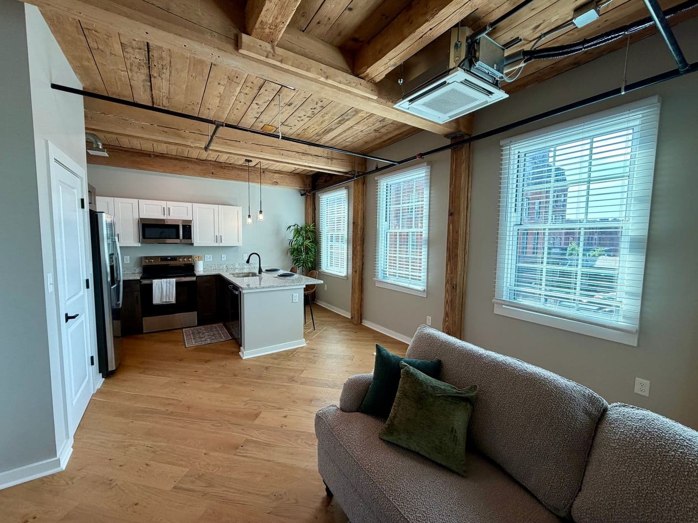 Worcester Apartment: 17 Hermon Street