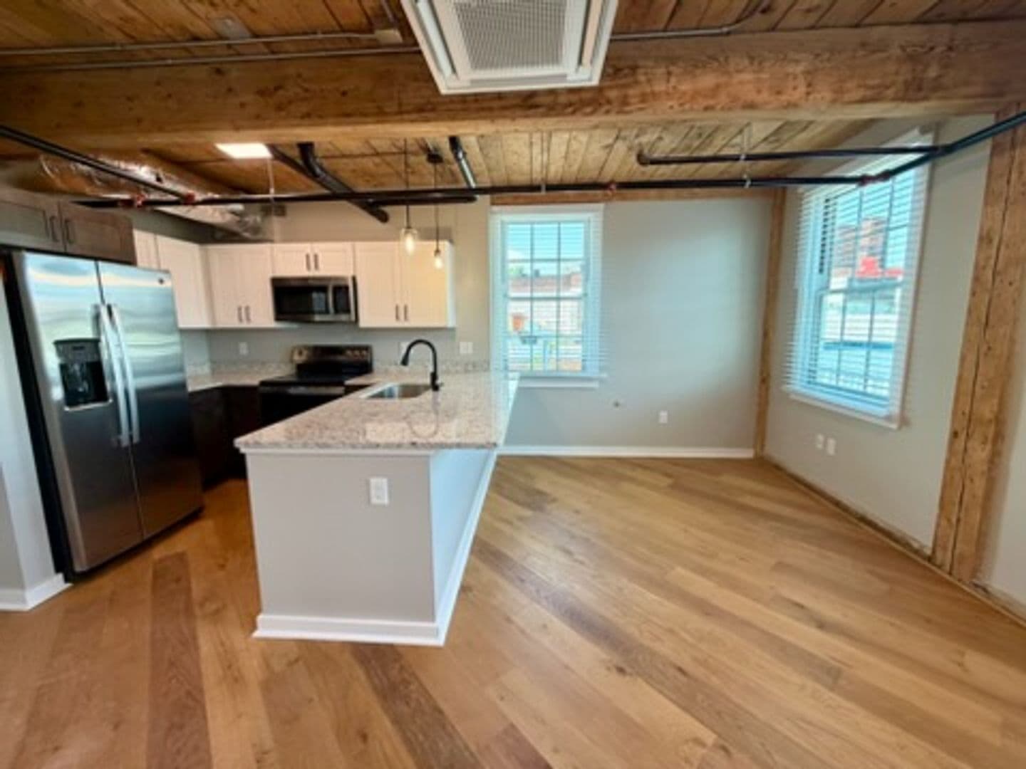 Worcester Apartment: 17 Hermon Street