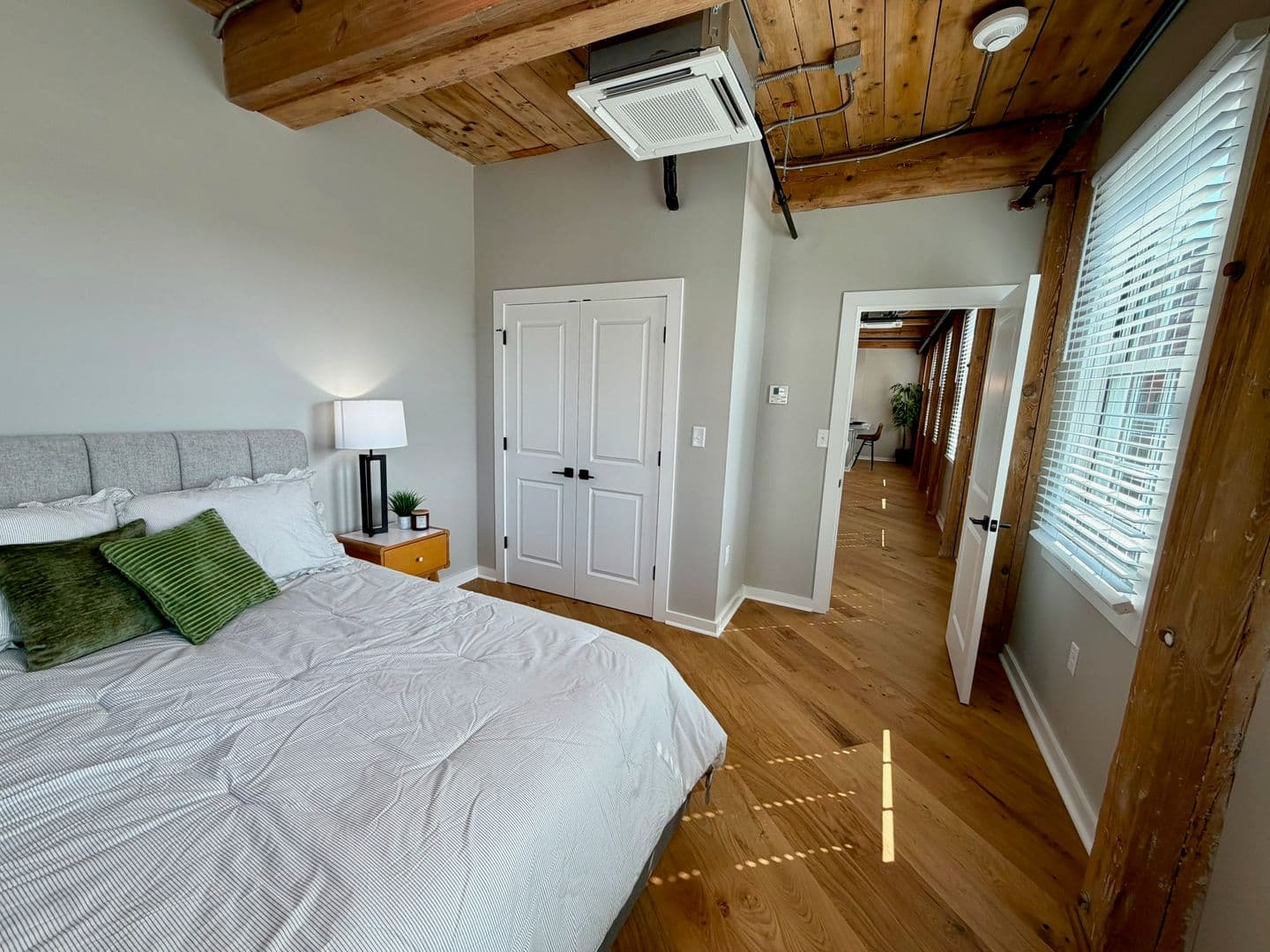 Worcester Apartment: 17 Hermon Street
