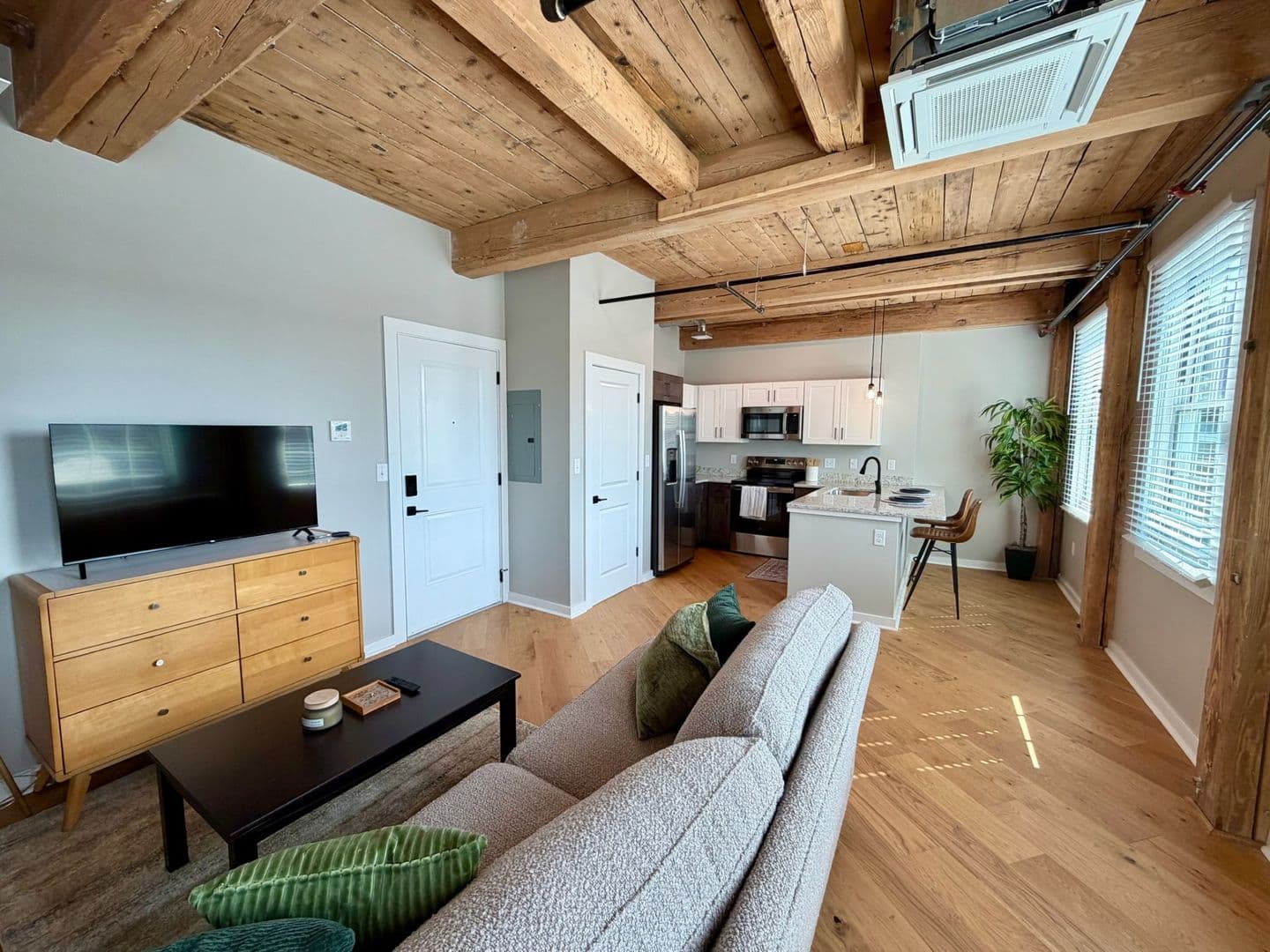 Worcester Apartment: 17 Hermon Street