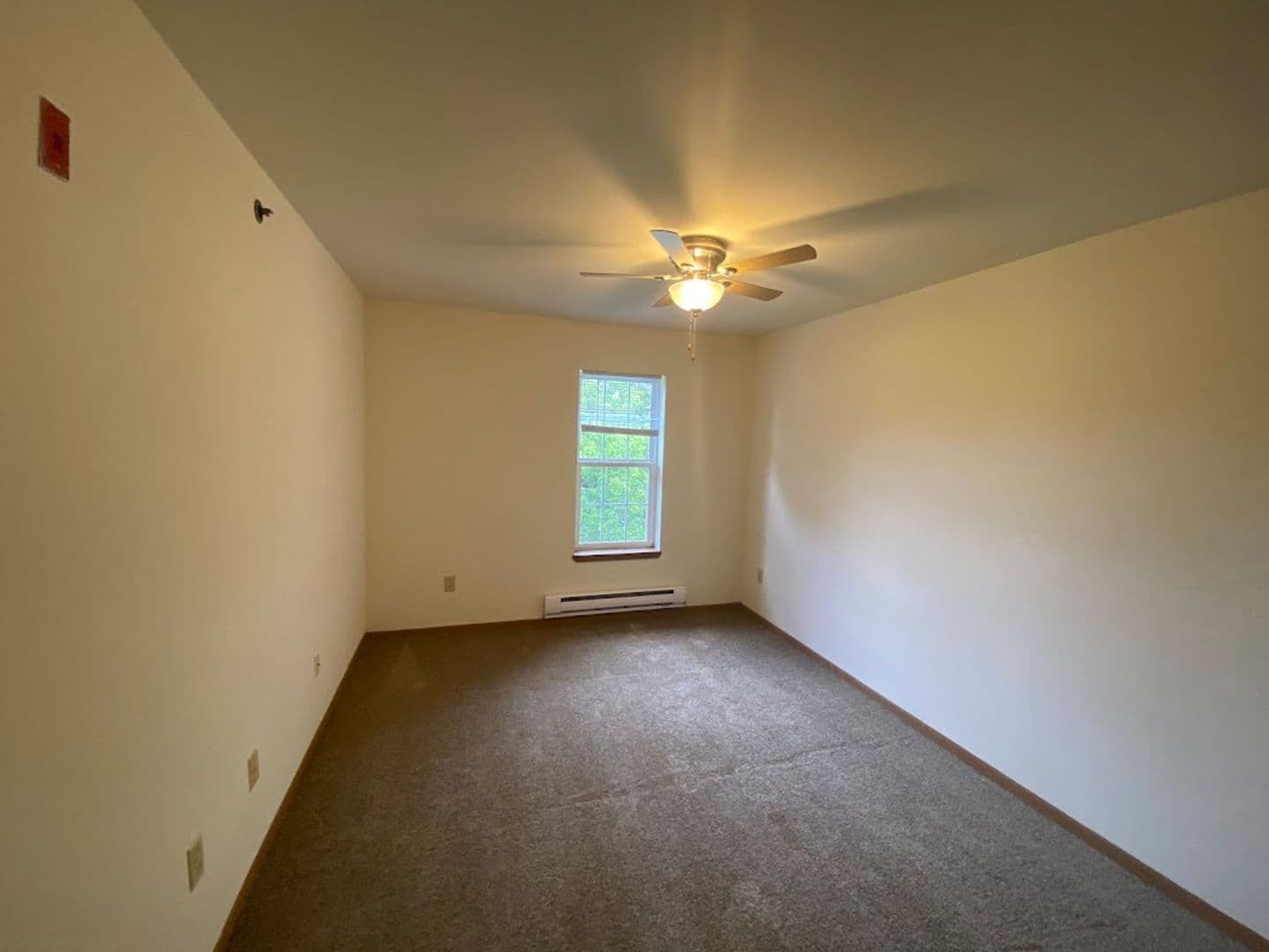 Bristol Apartment: 19624 82nd St