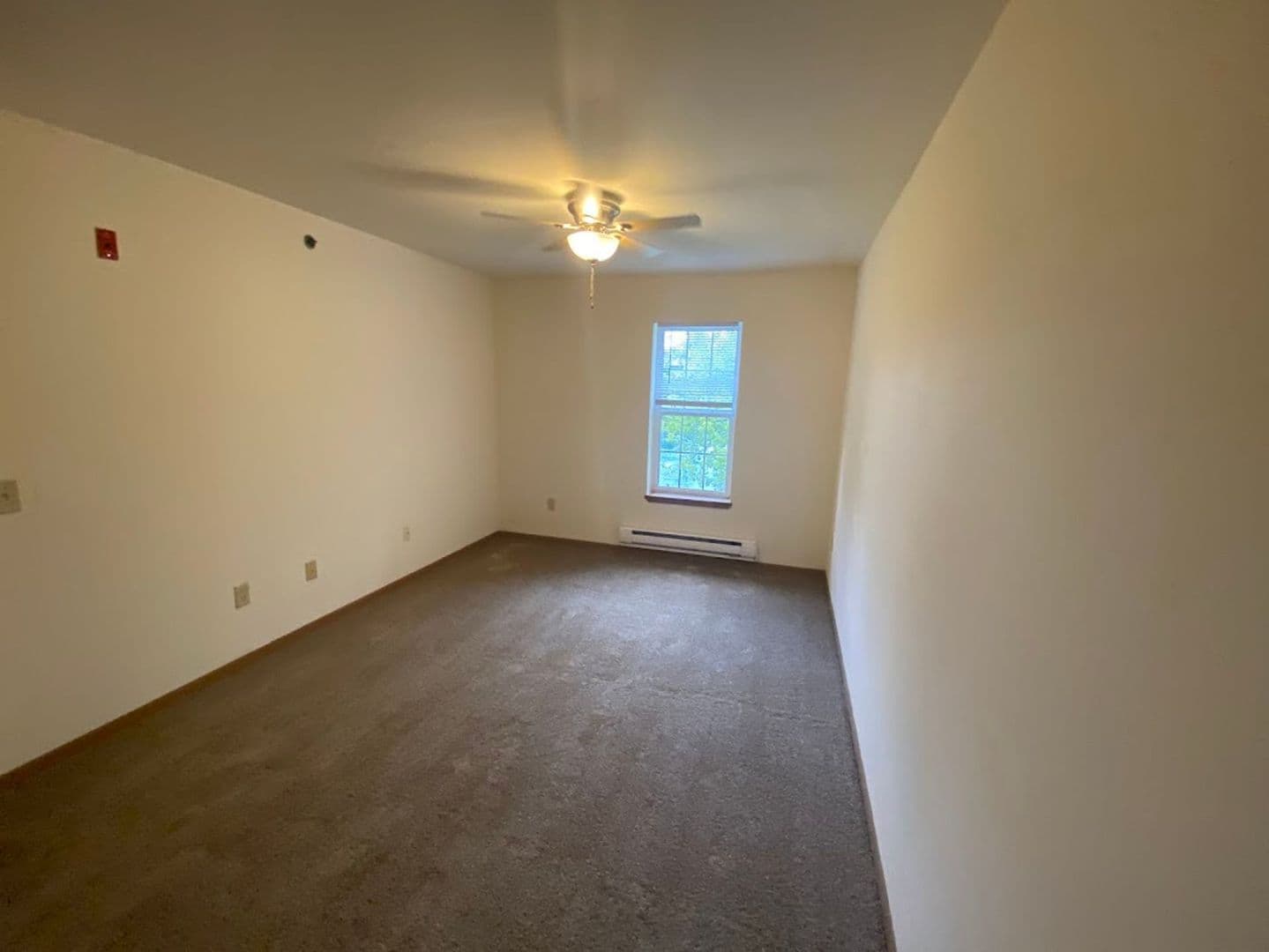 Bristol Apartment: 19624 82nd St