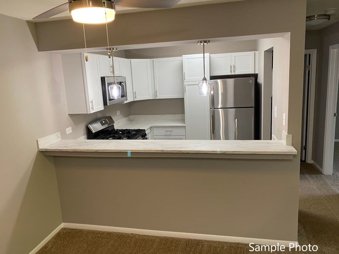 Lake Villa Apartment: 149 N Milwaukee Ave