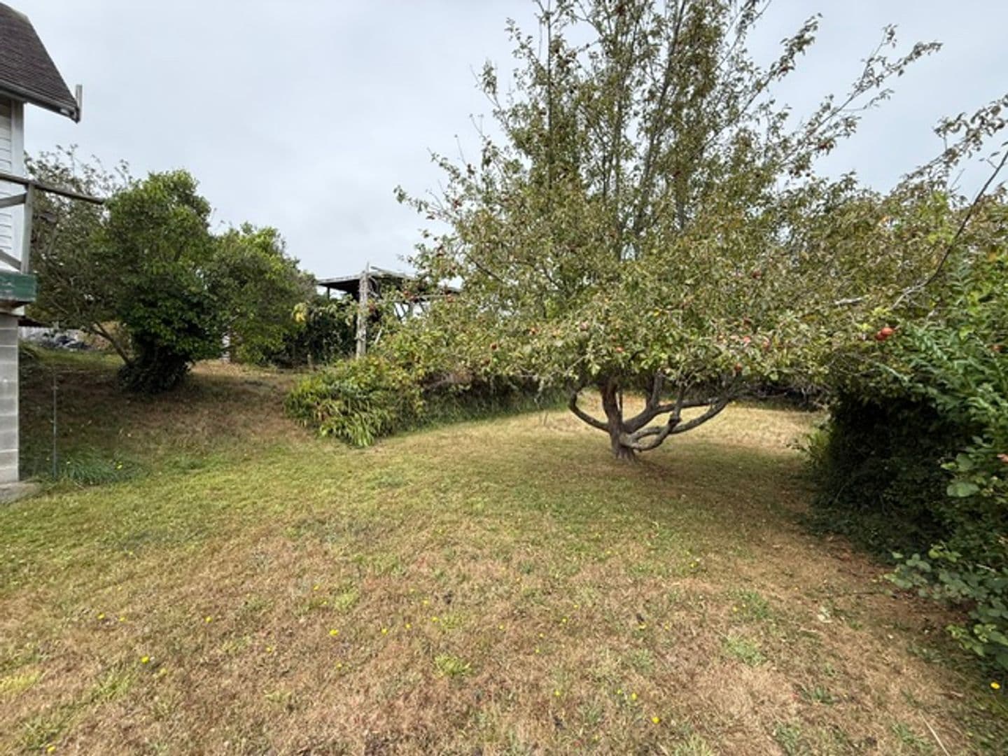 North Bend Apartment: 1524 Sheridan