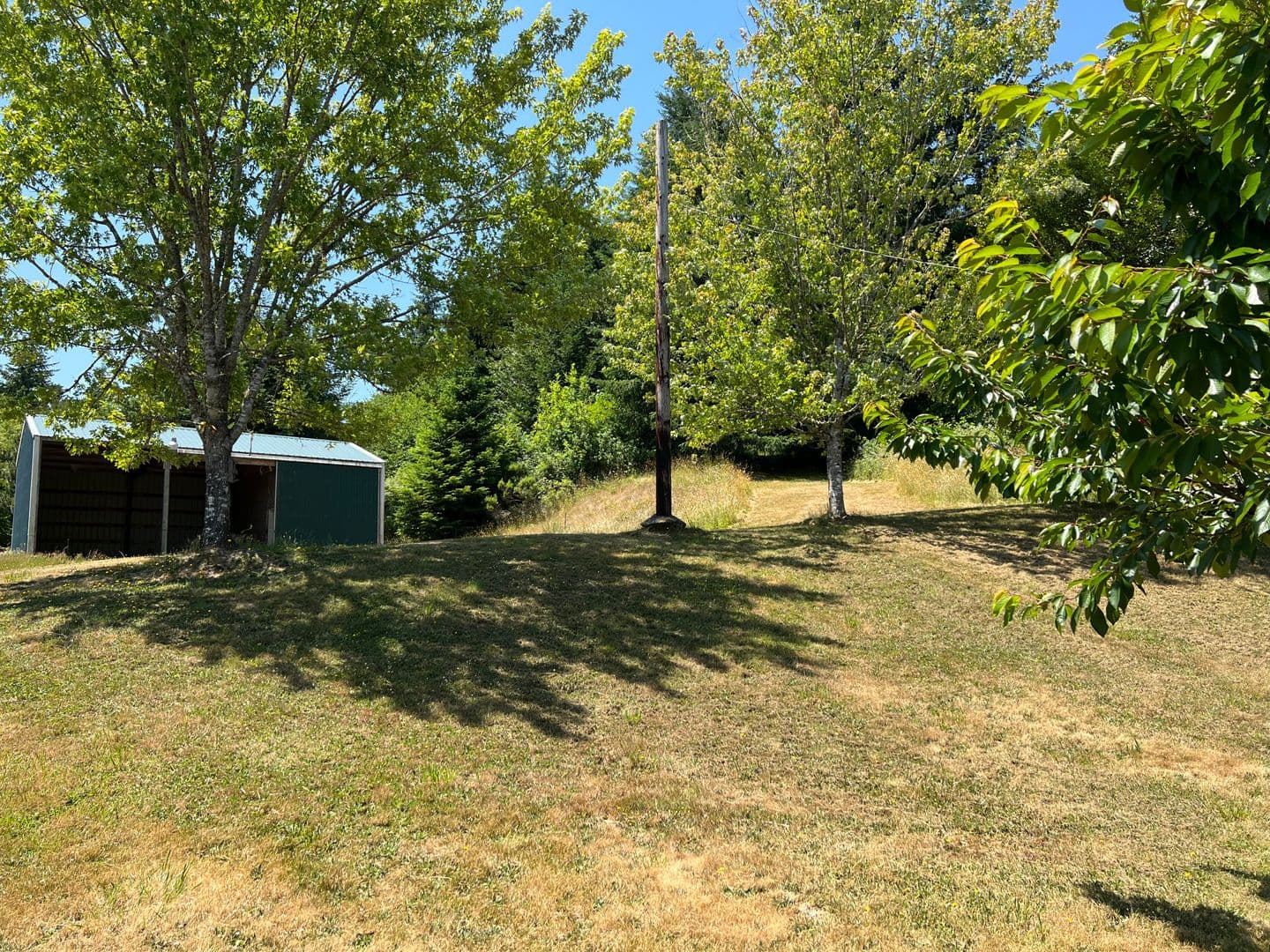 Myrtle Point Apartment: 90799 N. Fork Ln.