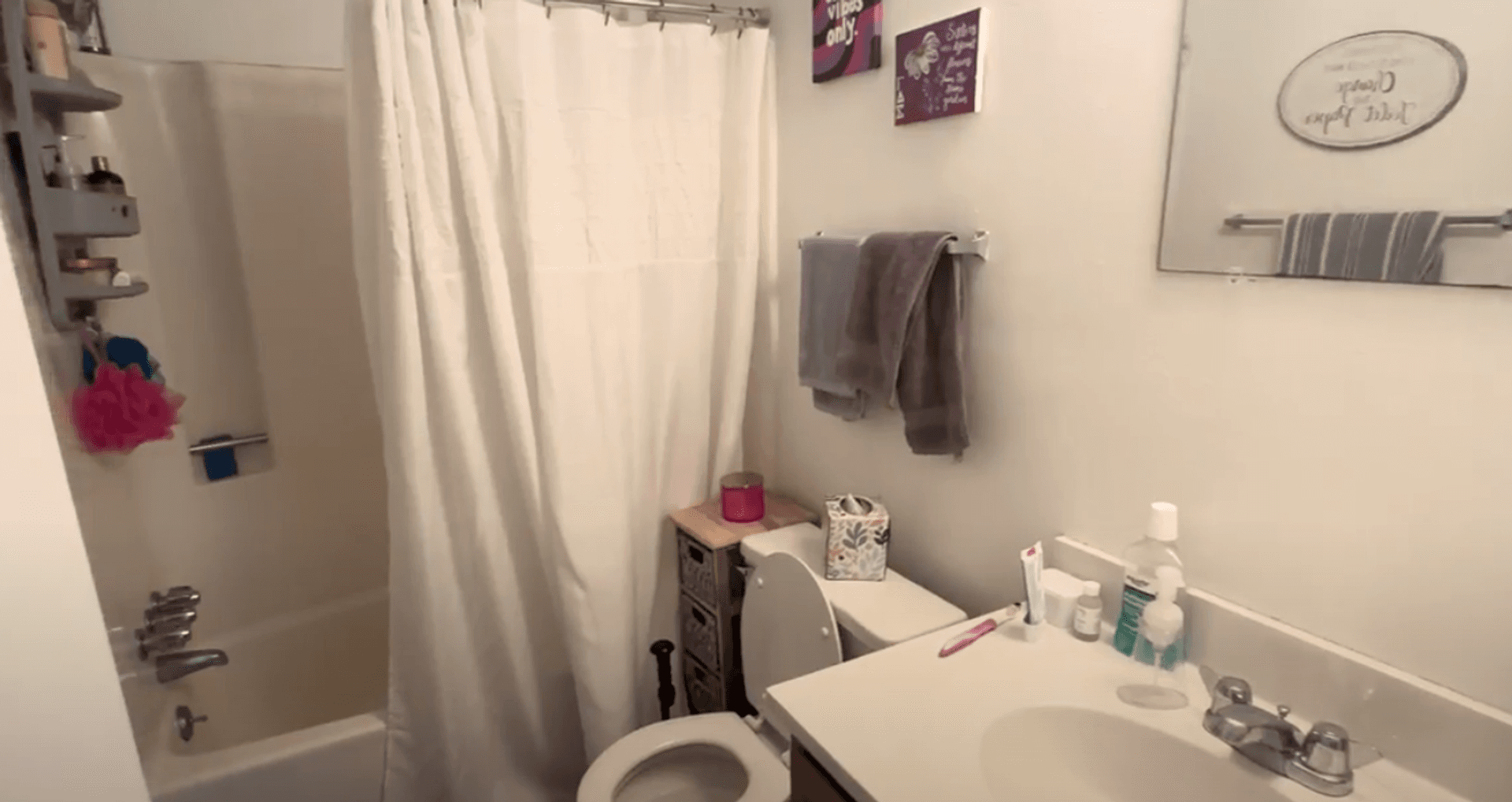 Blacksburg Apartment: 315 Clay St.