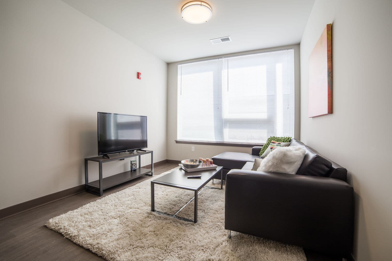 Terre Haute Apartment: 649 Cherry St.