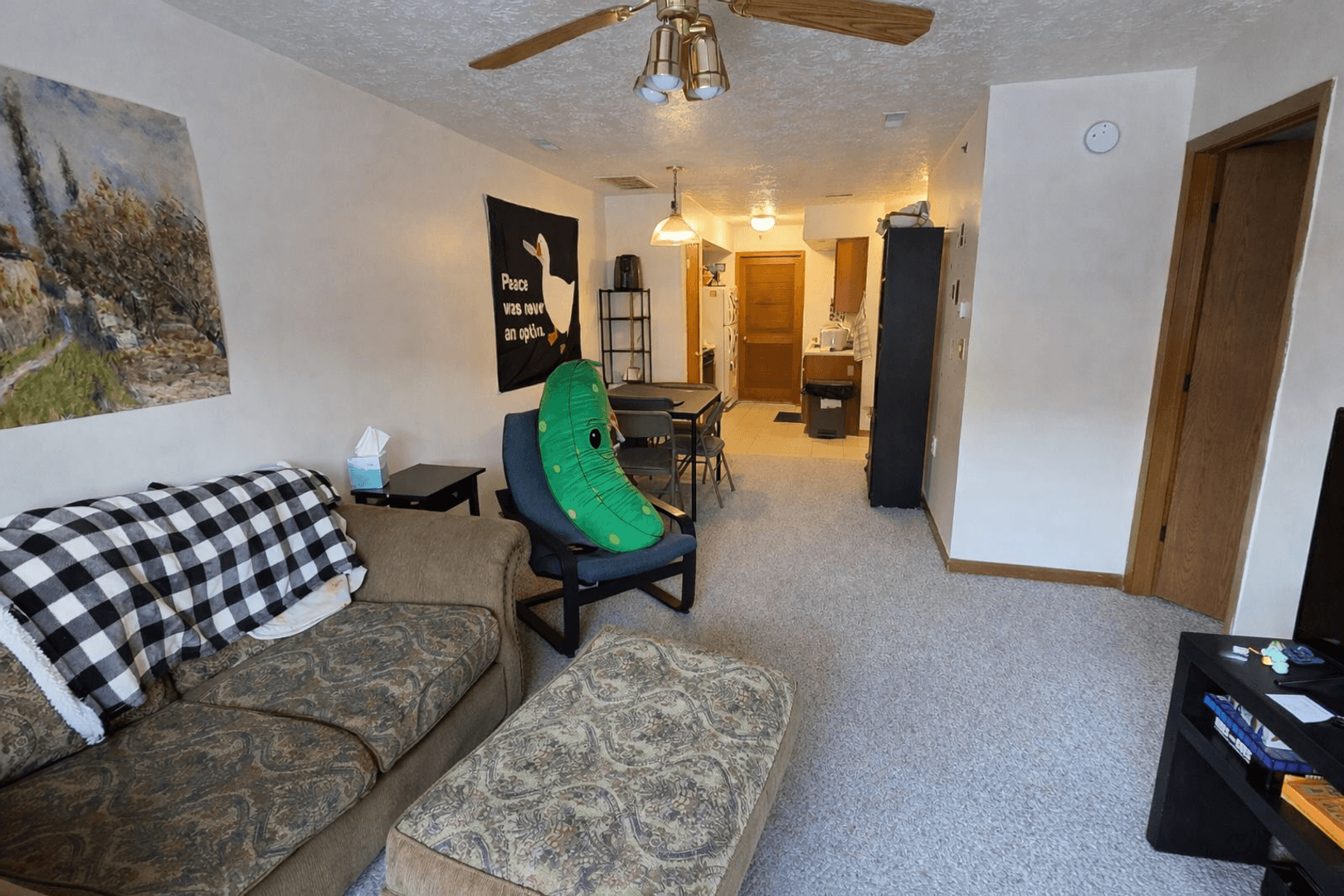 West Lafayette Apartment: 208 South Street