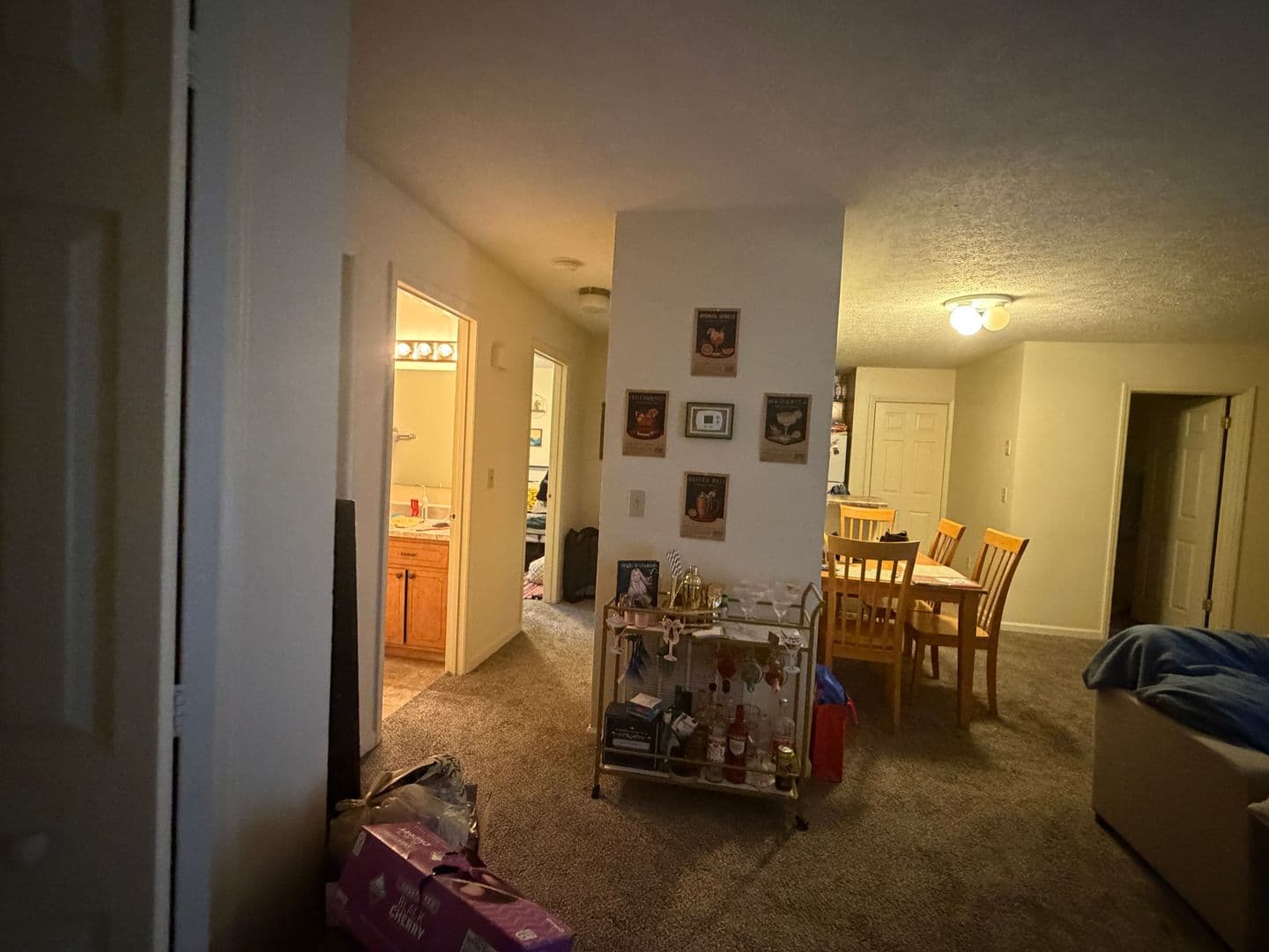 Radford Apartment: 1102 Downey Street
