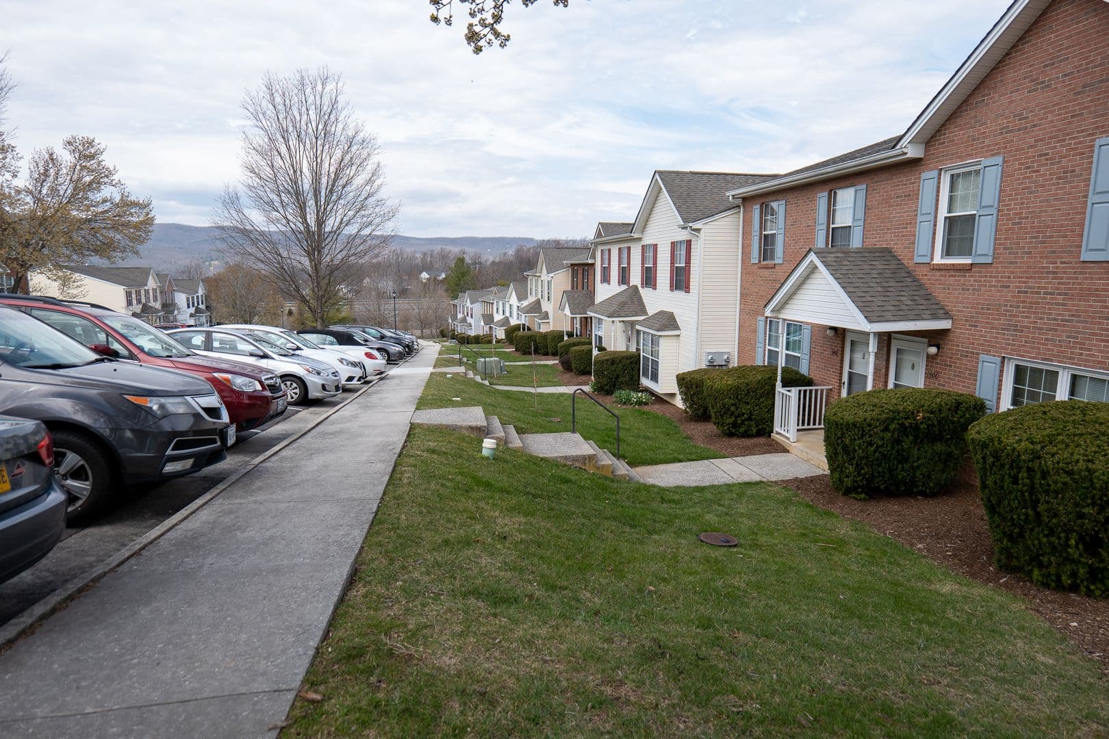 Blacksburg Townhome: 1410 Christine Ct