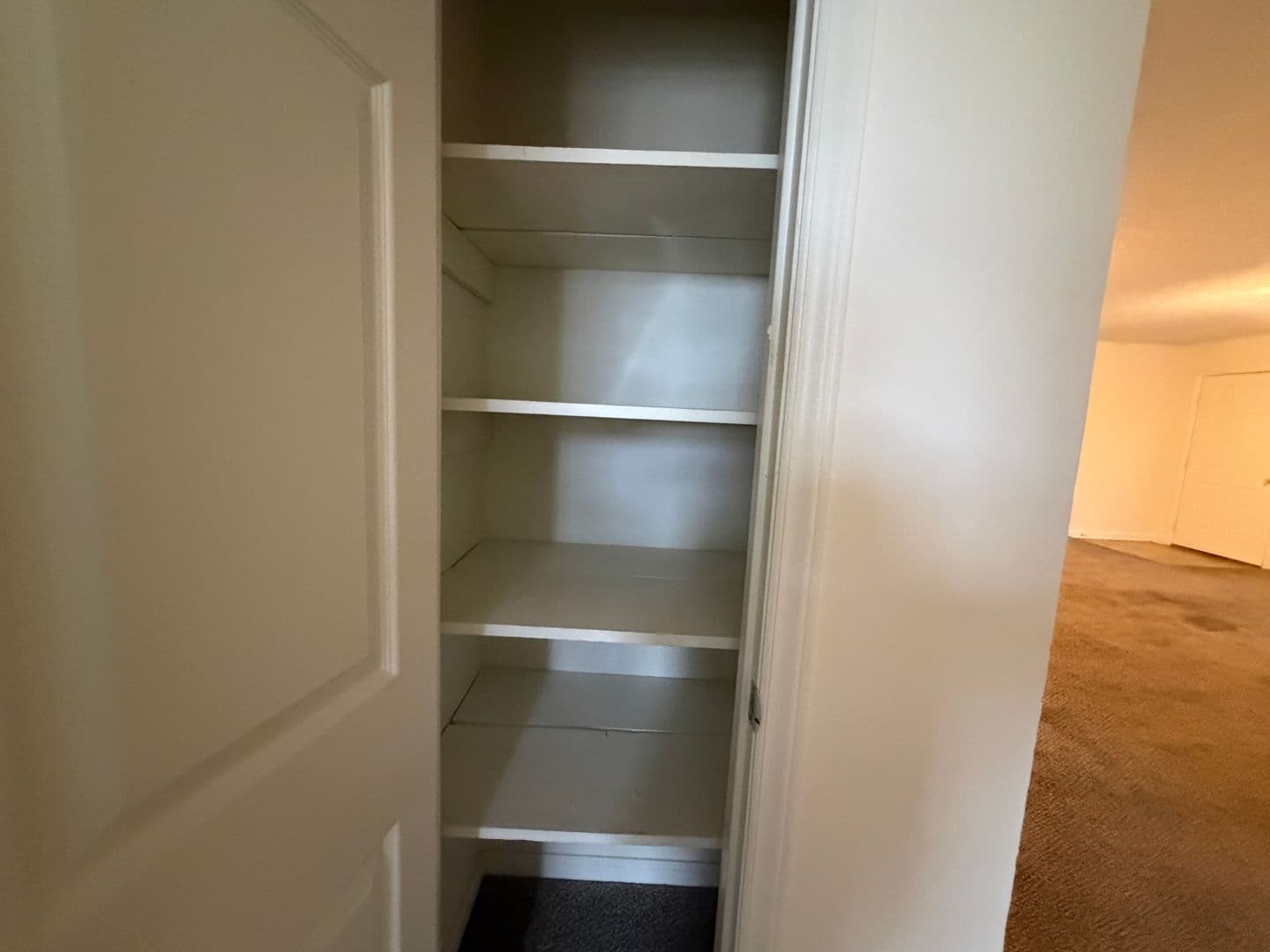 Radford Apartment: 1102 Downey Street