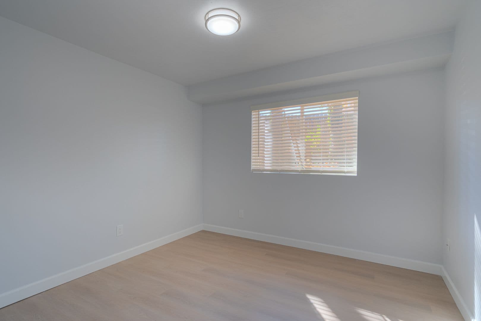 Blacksburg Apartment: 315 Clay St.