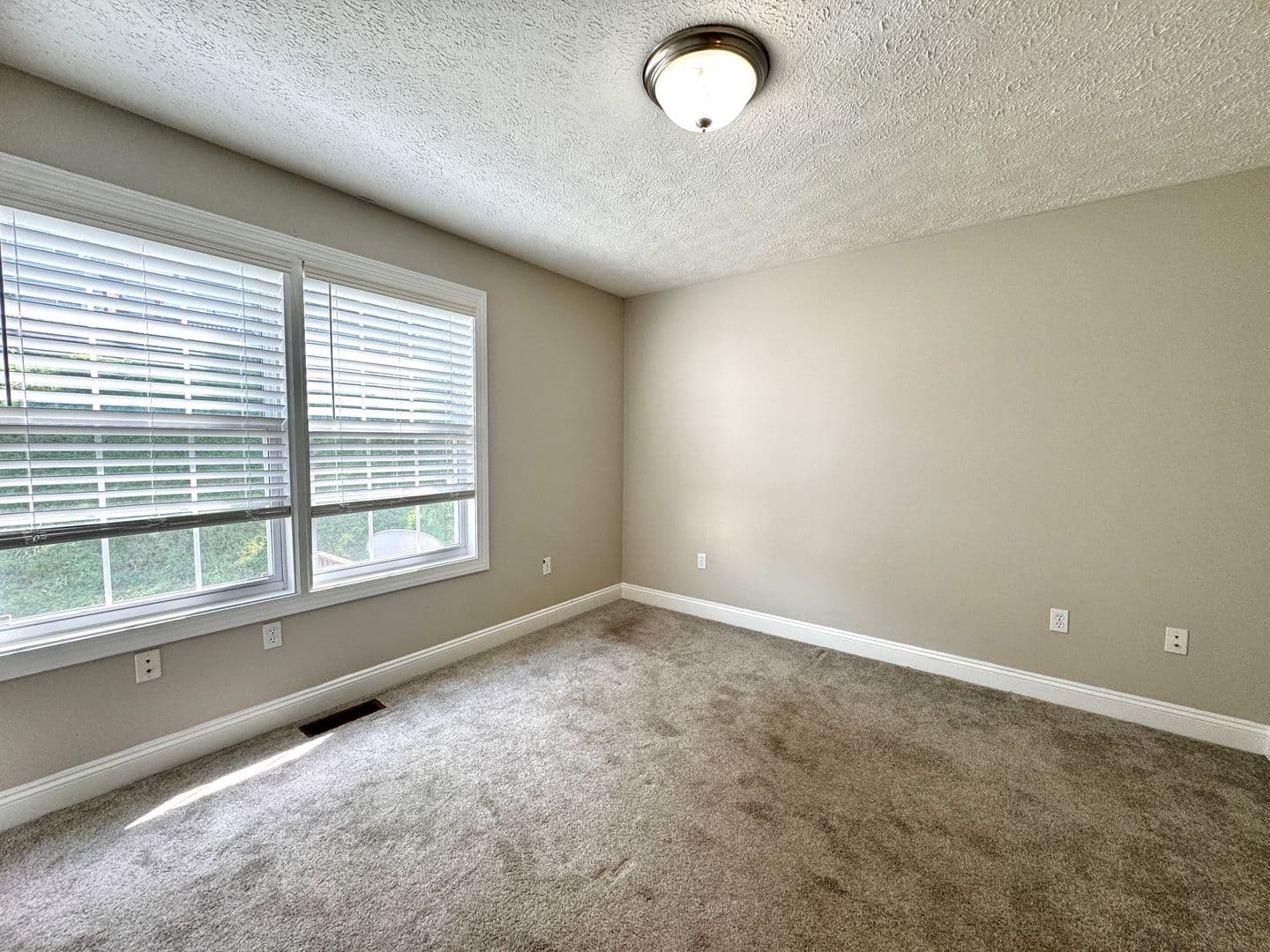 Christiansburg Townhome: 1070 Oak Tree Blvd