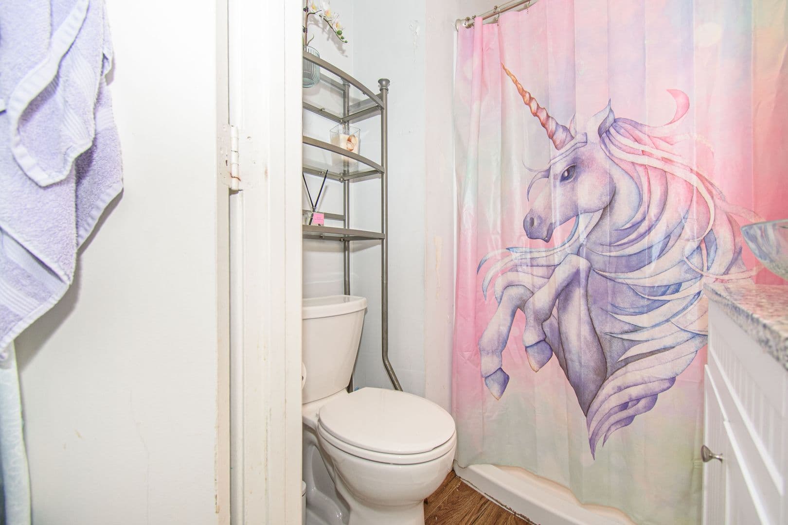 Blacksburg House: 222 Huntington Ln