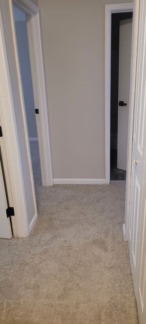 Erlanger Townhome: 3233 N. Talbot Ave.
