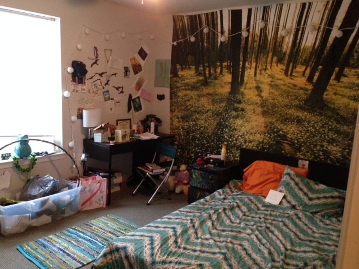 Philadelphia Apartment: 2219 N Camac St