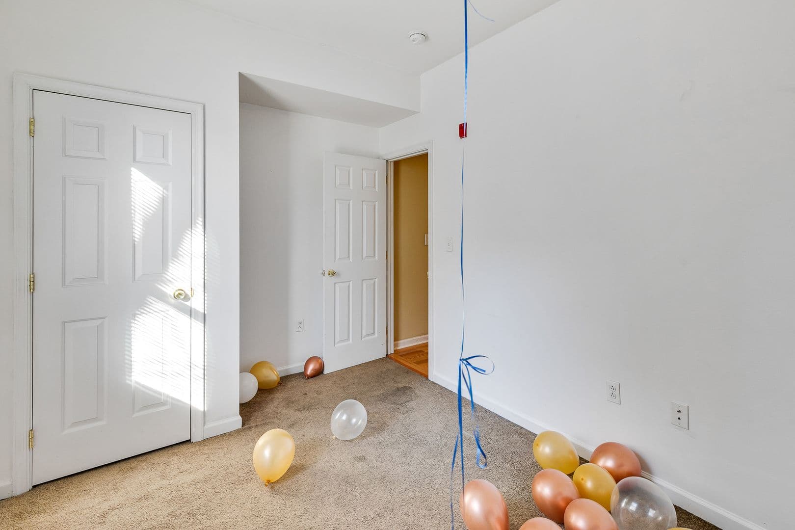 Philadelphia Apartment: 1816 N 17th St