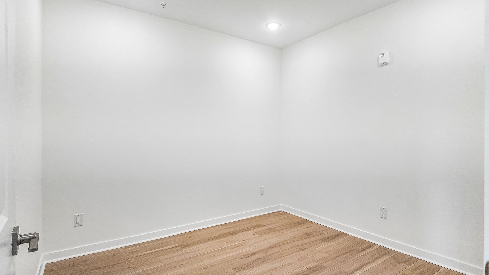 Philadelphia Apartment: 921 E Chelten Ave