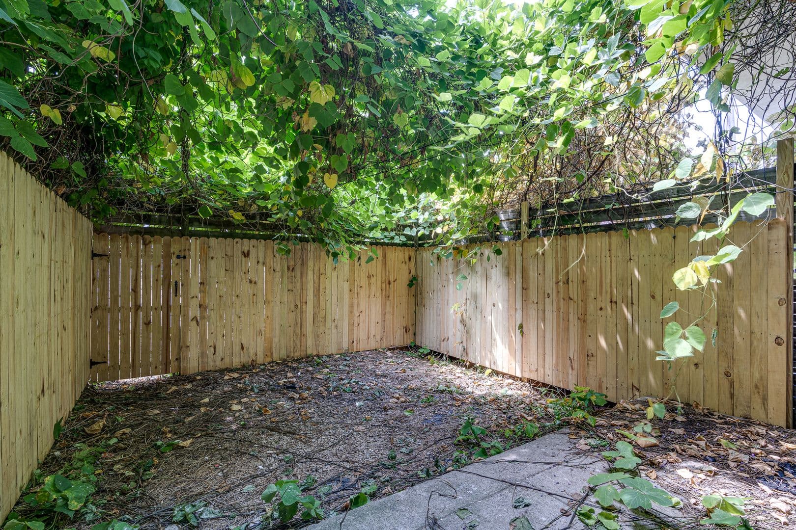 Philadelphia Apartment: 1914 N 17th St