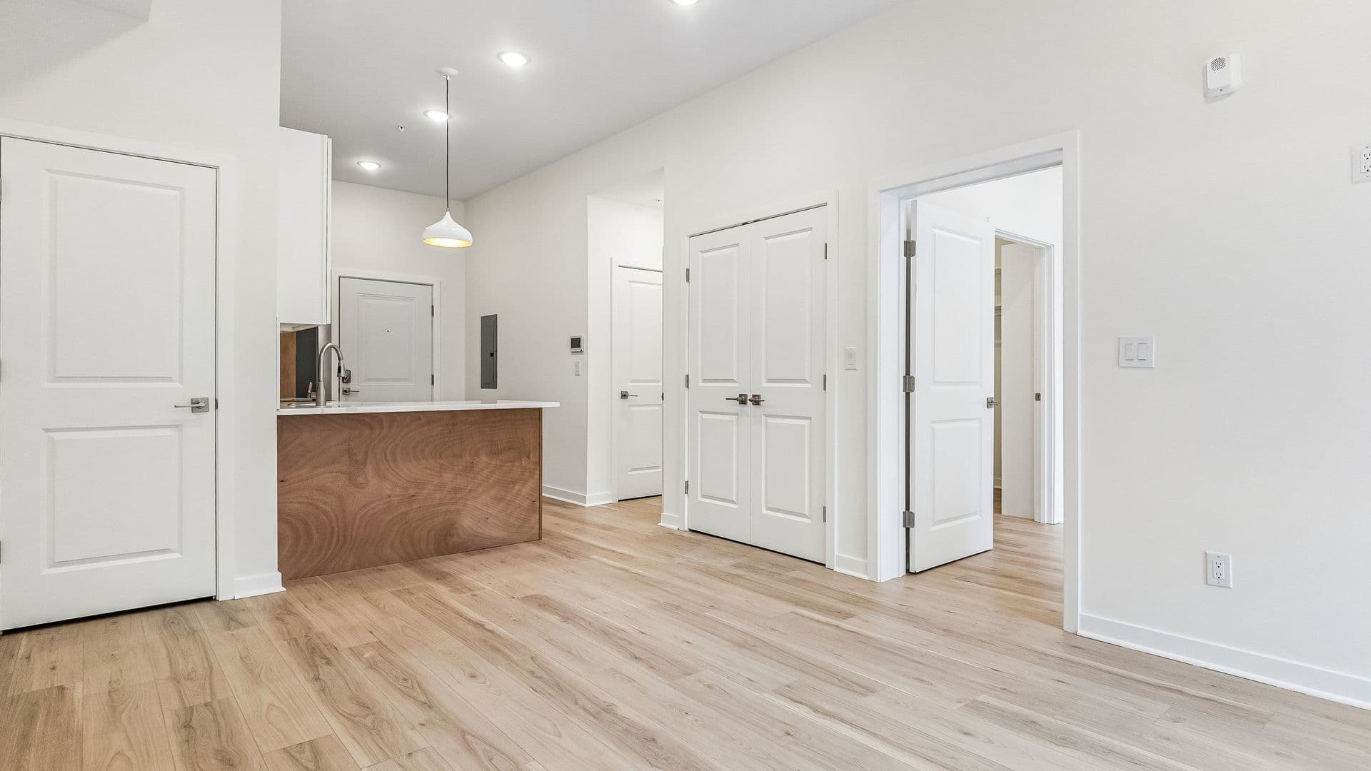 Philadelphia Apartment: 921 E Chelten Ave