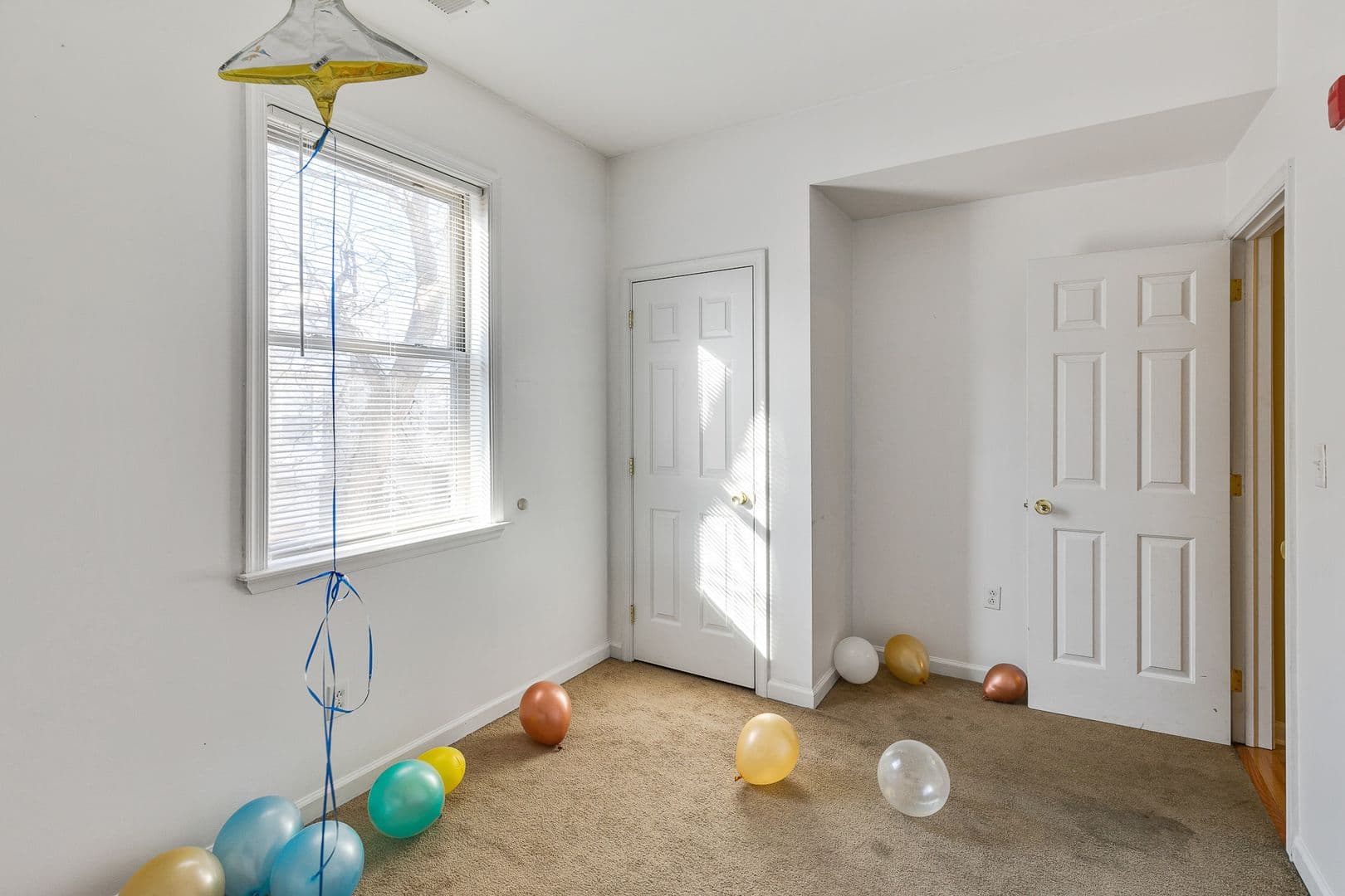 Philadelphia Apartment: 1816 N 17th St