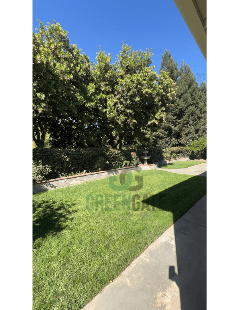 Modesto House: 3217 Sundance Lake Dr
