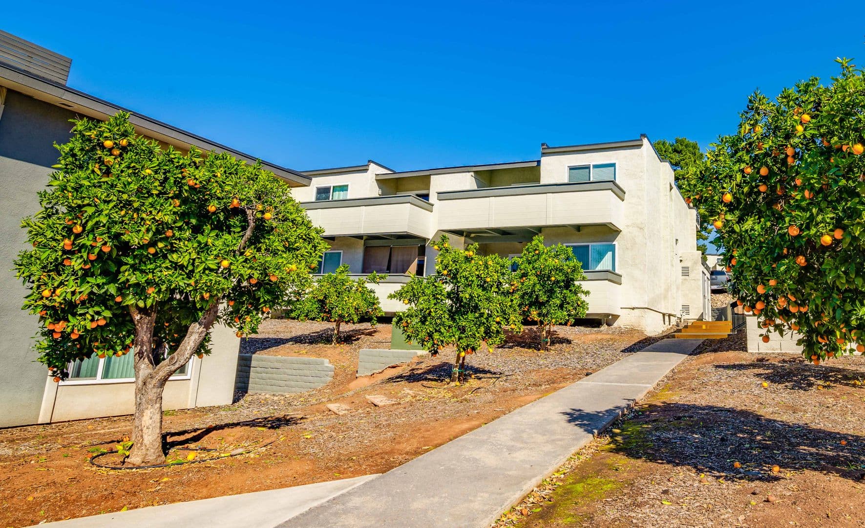 Escondido Apartment: 326 Felicita Ave