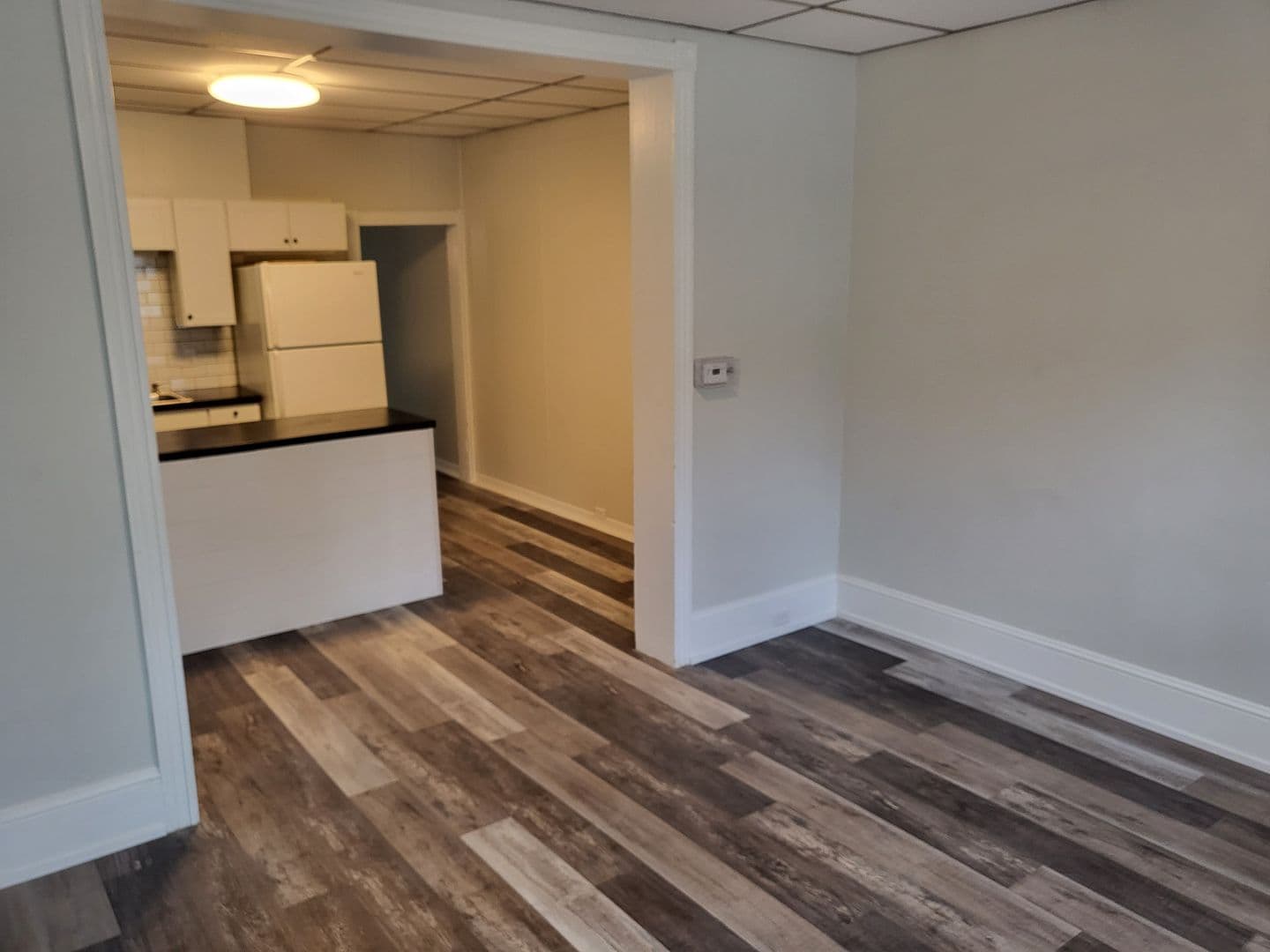 Schuylkill Haven Apartment: 117 Centre Ave
