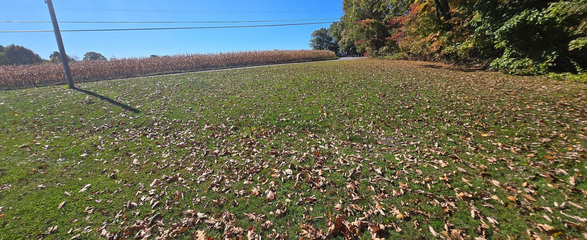 Schuylkill Haven House: 415 Schuylkill Mountain Road