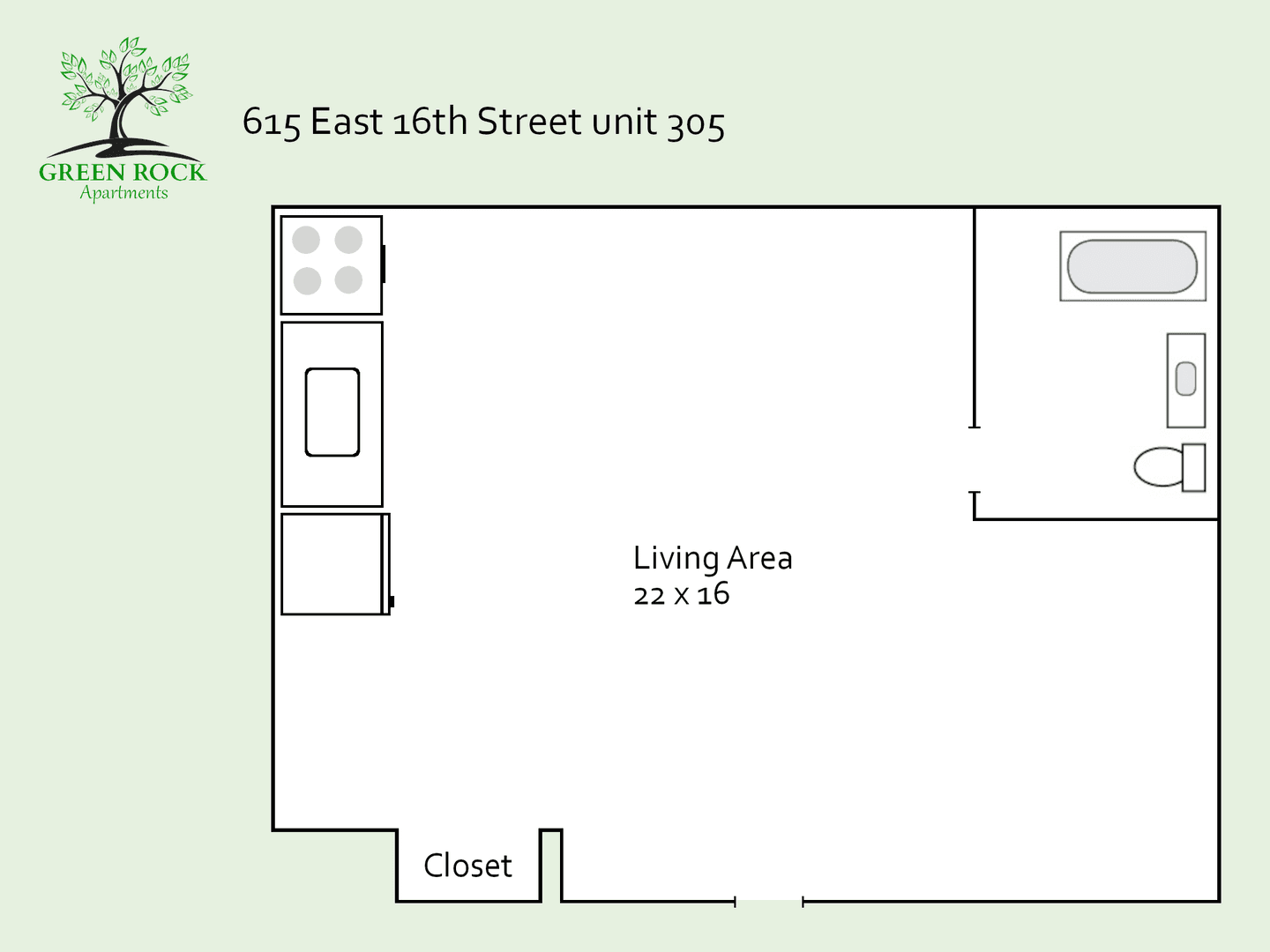 Minneapolis Apartment: 615 East 16th Street