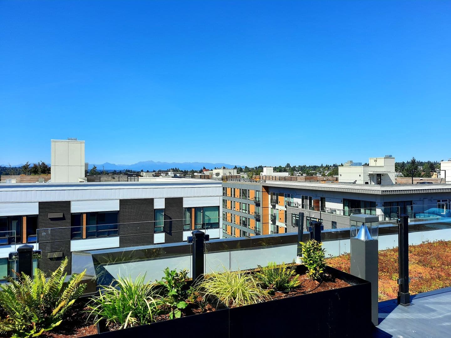 Seattle Apartment: 5512 17th Ave NW