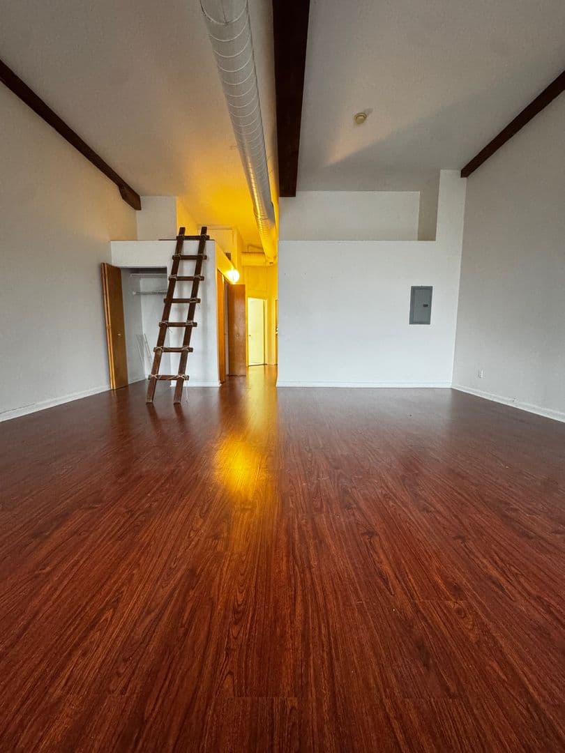 Norristown Apartment: 311 West Marshall Street