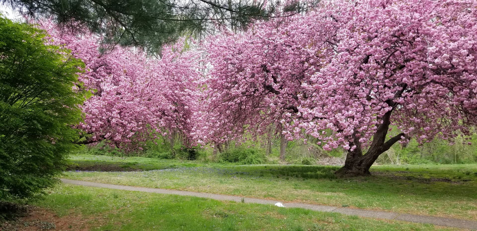 Chester Apartment: 2701 Chestnut St