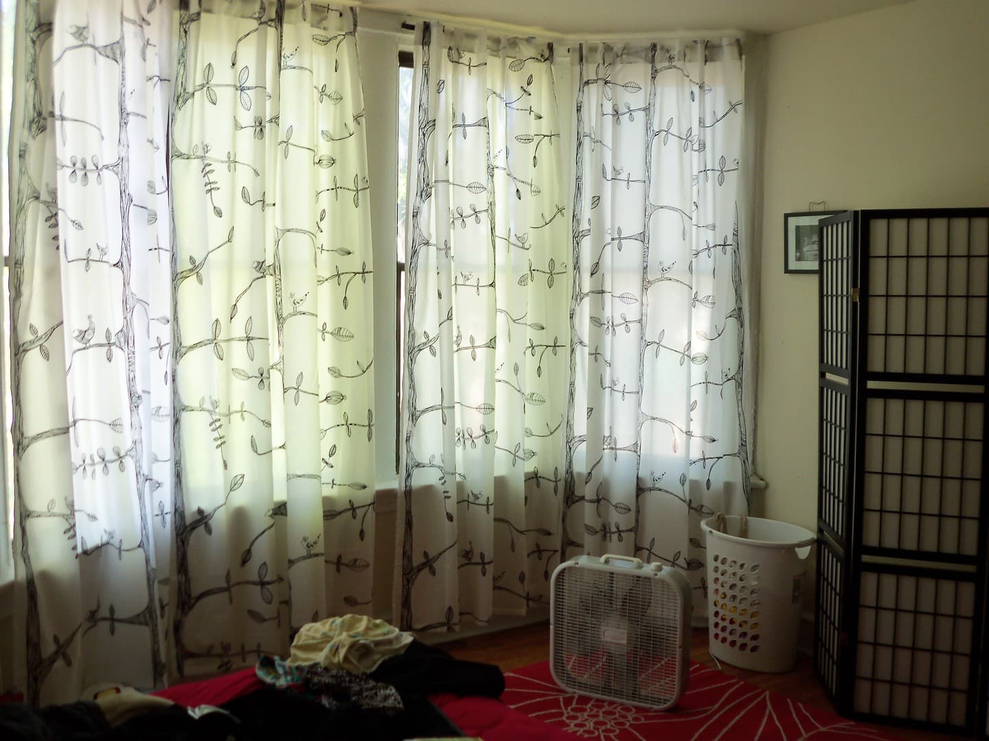 Philadelphia Apartment: 4748 Pine Street