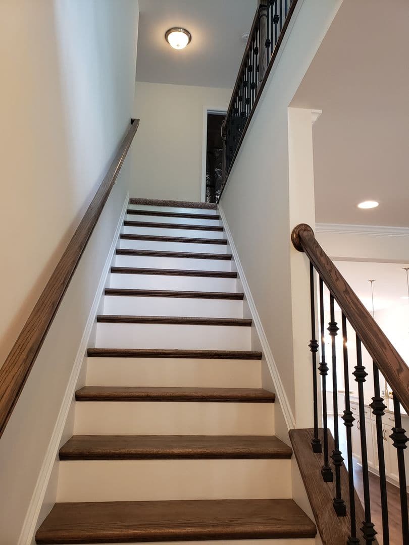 Williamsburg House: 3937 Northridge Street