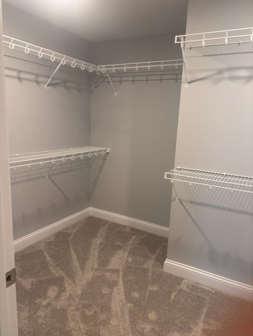 Bardstown Apartment: Lala Lane