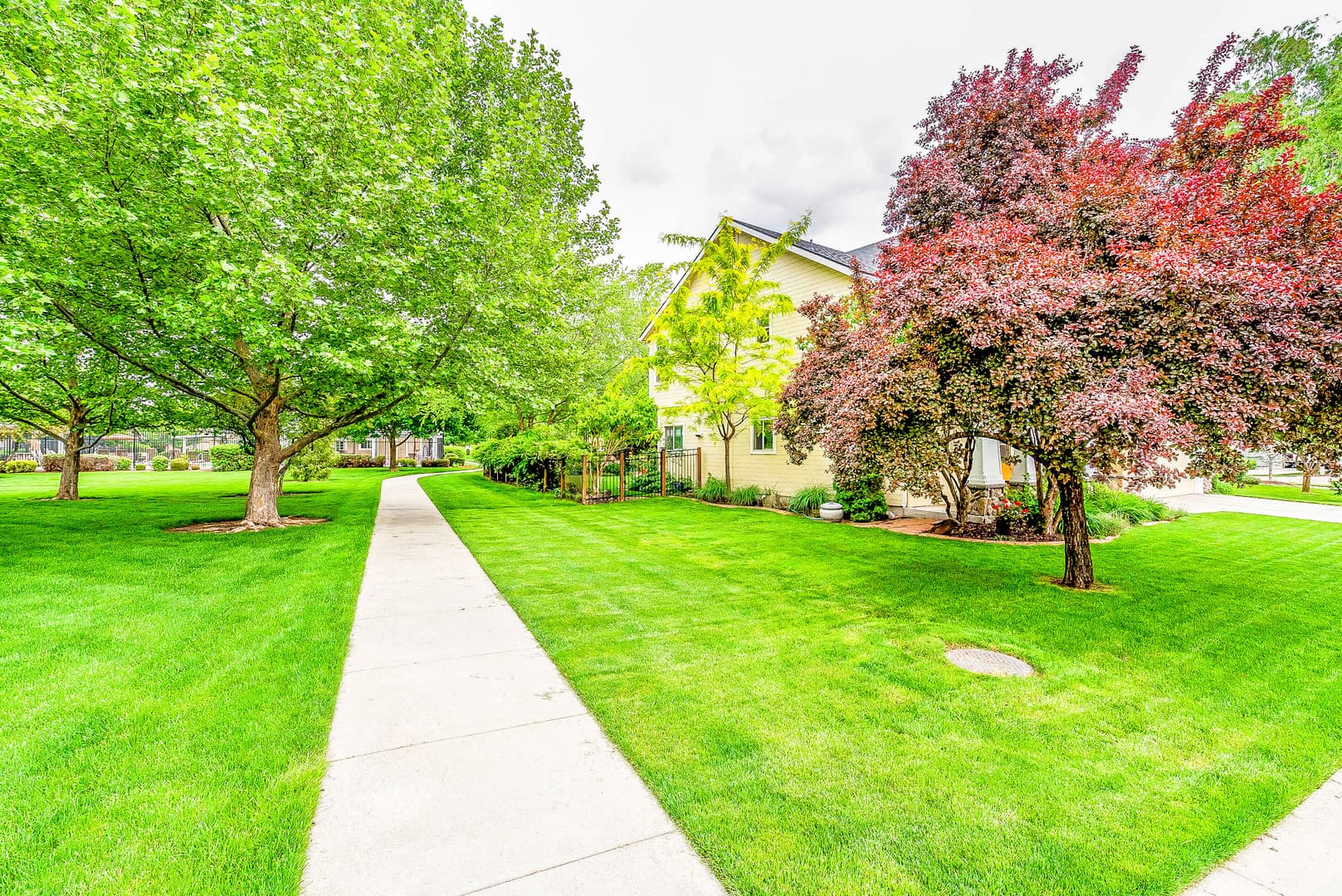 Meridian House: 1002 E. Legacy View Dr.